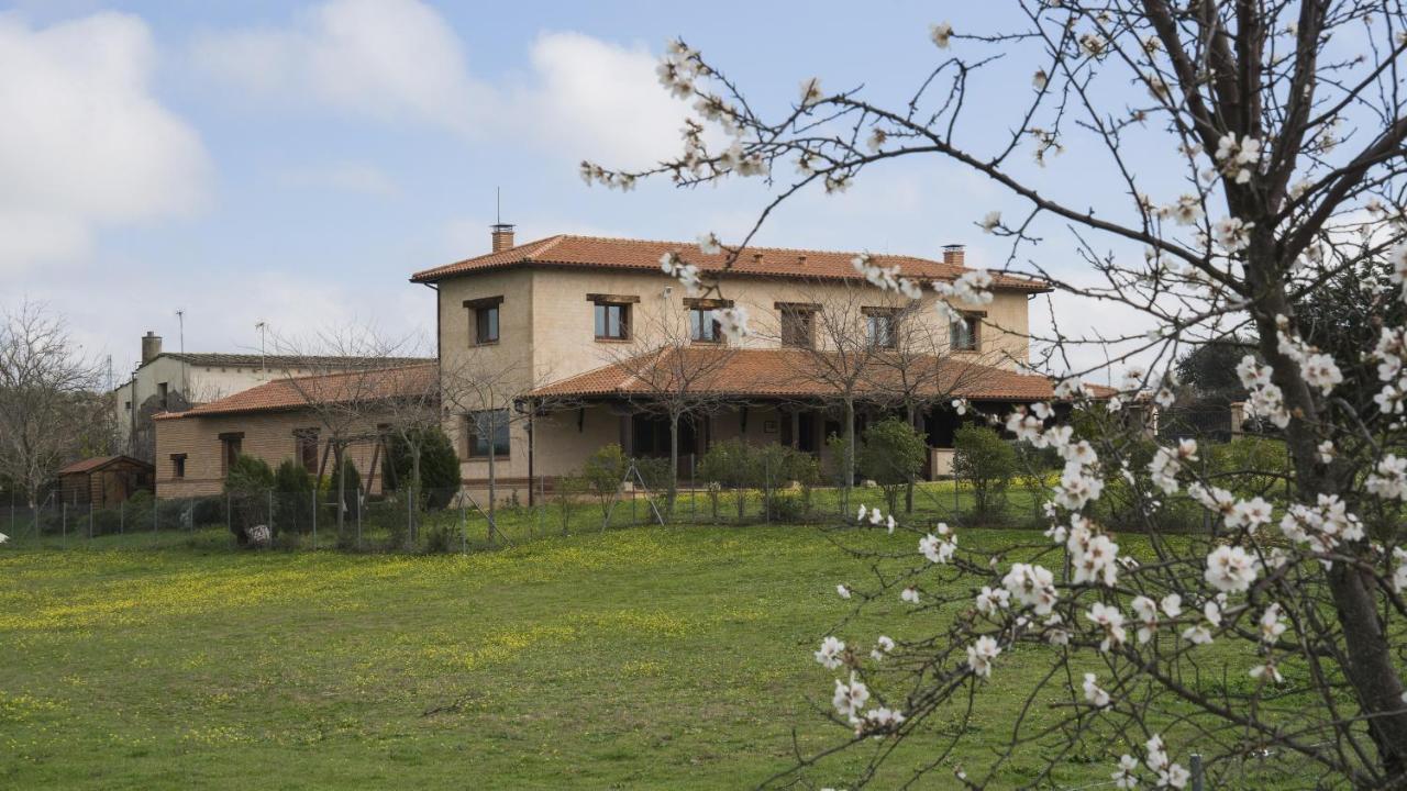 Casa Rural Pilon Del Fraile Oropesa Dış mekan fotoğraf